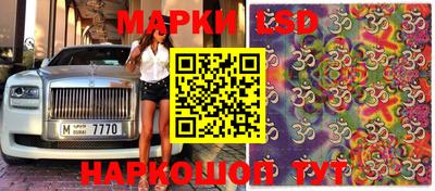 a pvp Волжск