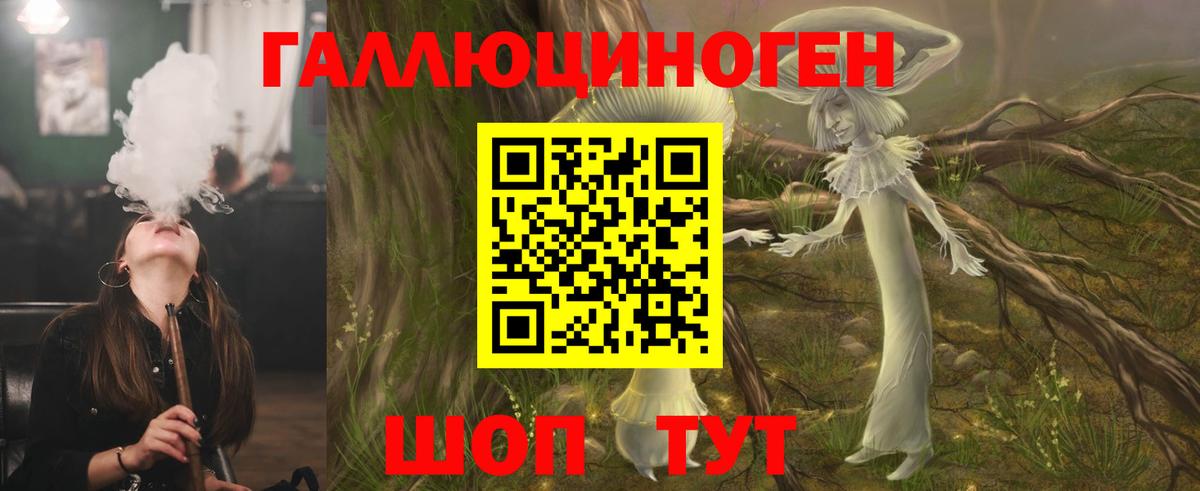 Псилоцибиновые грибы Cubensis Мурино
