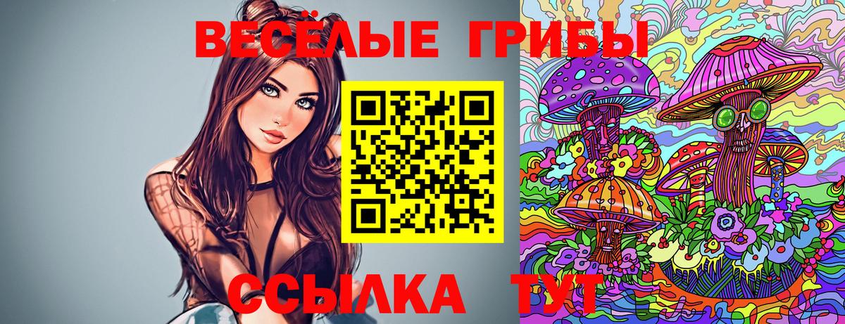 Мурино  Псилоцибиновые грибы MAGIC MUSHROOMS  где найти наркотики  Вход с VPN 
