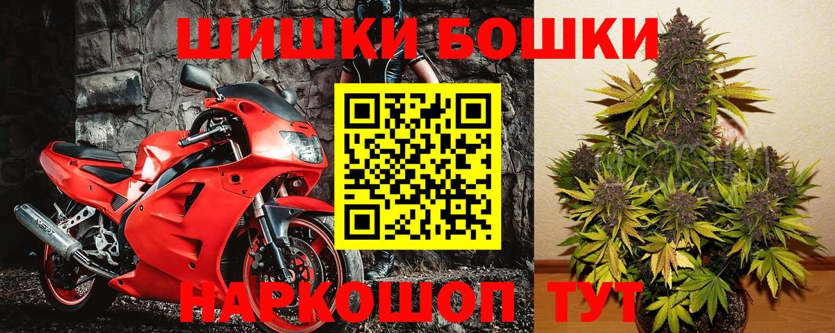 Бошки Шишки план  Вход с VPN  Конопля Bruce Banner  Мурино  Бошки Шишки тримм 